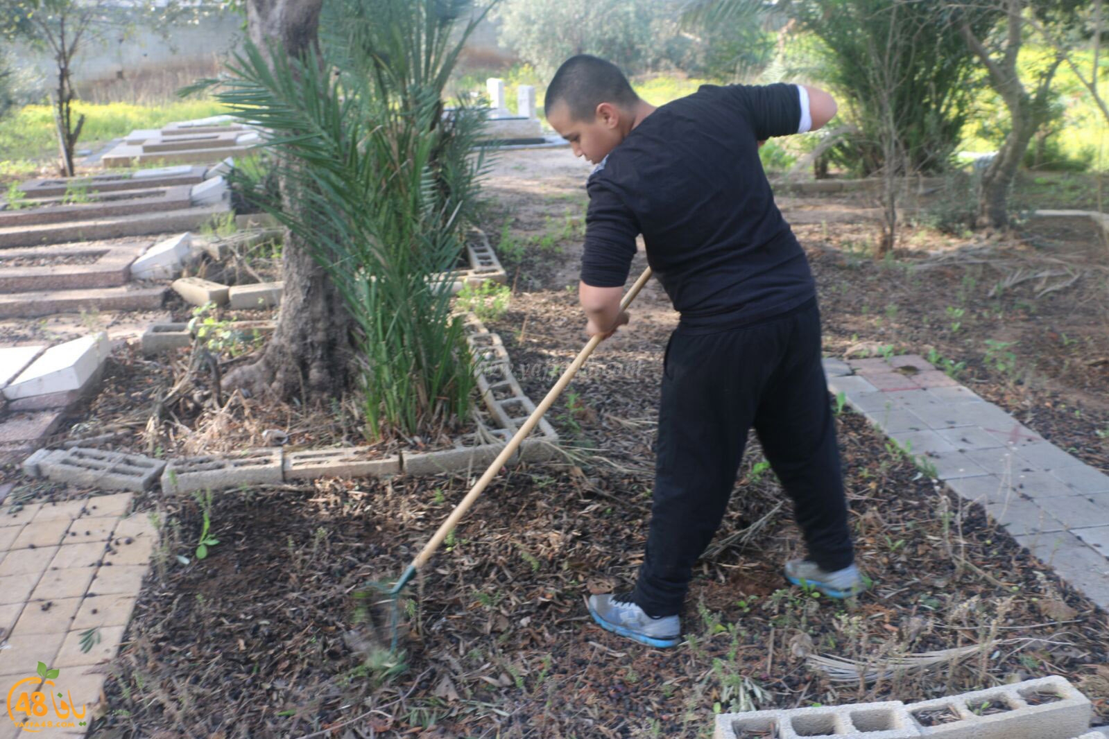 taso 23 tendedf (18).jpg